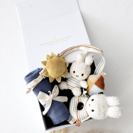 Box Miffy Unterwegs Stipes Blau