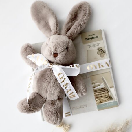 Livre de souvenirs de bébé 