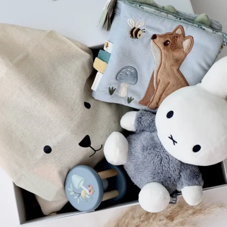 Boîte cadeau bébé 4 - Miffy bleu