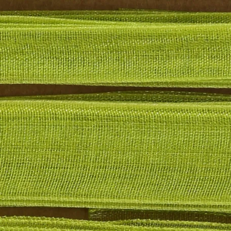 Ruban décoratif vert / ruban cadeau en organza 6 x 2 m