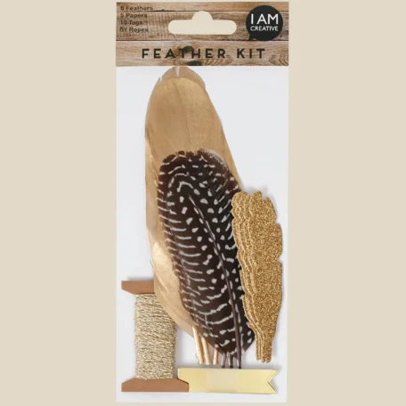 Set de plumes à décorer, noir & or