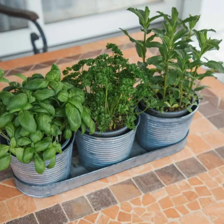 Blech Kräutertopf 3er Set, 40 x 12 cm