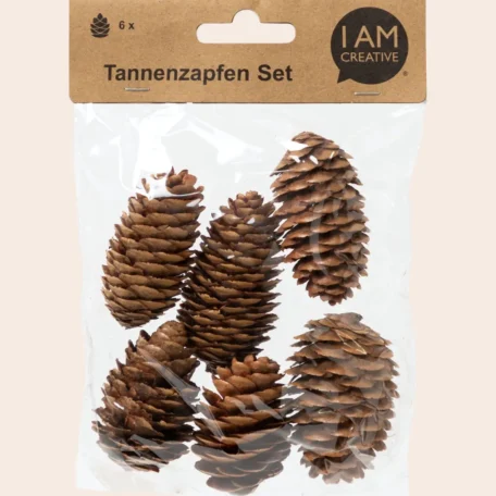 Cônes de sapin, 6 pièces