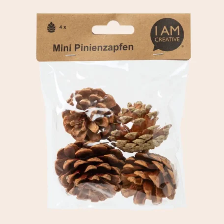 Mini pomme de pin, 4 pièces