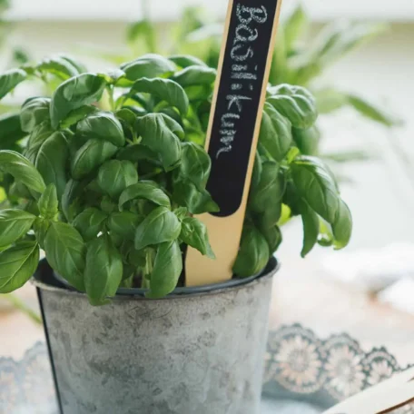 Stecktafeln mit spitzen Enden, 4 Stk.