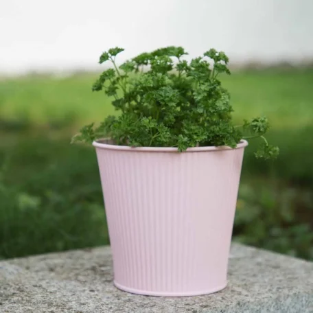 Blechtopf rosa, ø 16 x 15 cm