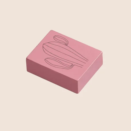 Tampon May & Berry, cactus du désert