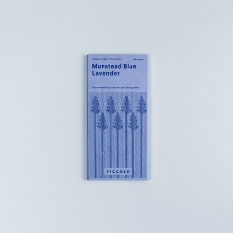 Lavendel Munstead Blau