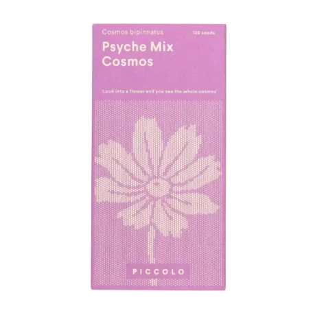 Graines de Cosmos - Psyche Mix