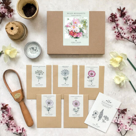 Blumenstrauss zum selber Pflanzen - Cosmos Collection