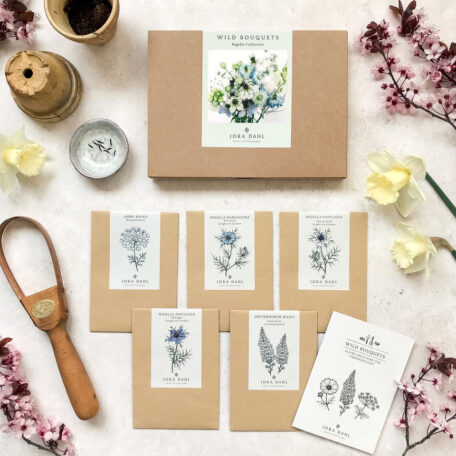 Blumenstrauss zum selber Pflanzen - Wild Bouquets Nigella Collection