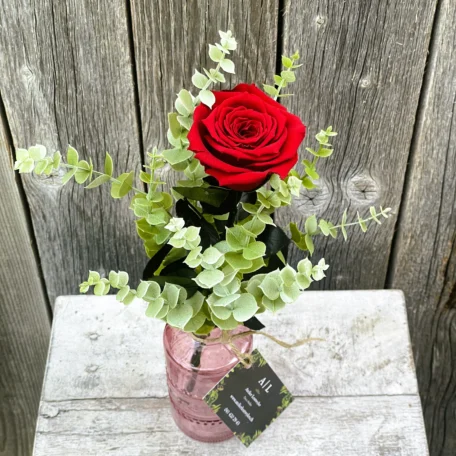 Rose rouge 35cm avec vase - stabilisé