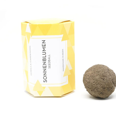Sonnenblumen Seedball einzeln