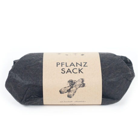 Pflanzset Zucchetti