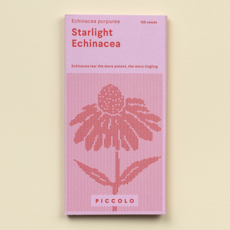 Echinacea Starlight – Purpursonnenhut