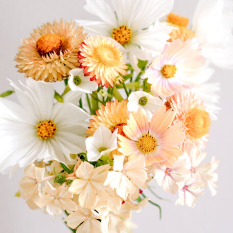 Blumenstrauss zum selber Pflanzen - Wild Bouquets Soft Apricot Collection