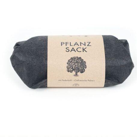 Pflanzset Federkohl