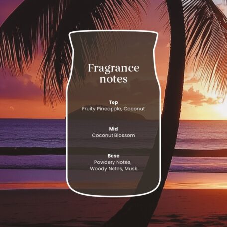 Black Coconut Signature Medium Jar