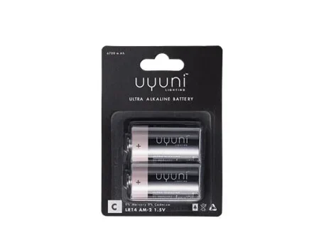Batterie Typ C, 1,5 V, 6700 mAh, 2er-Pack