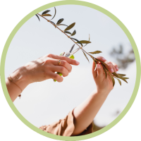 Gartenwerkzeug_Bubble