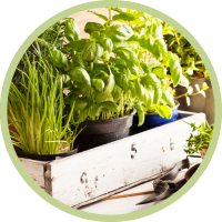 Herbes_Bubble