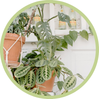 Cache-pots_Bubble