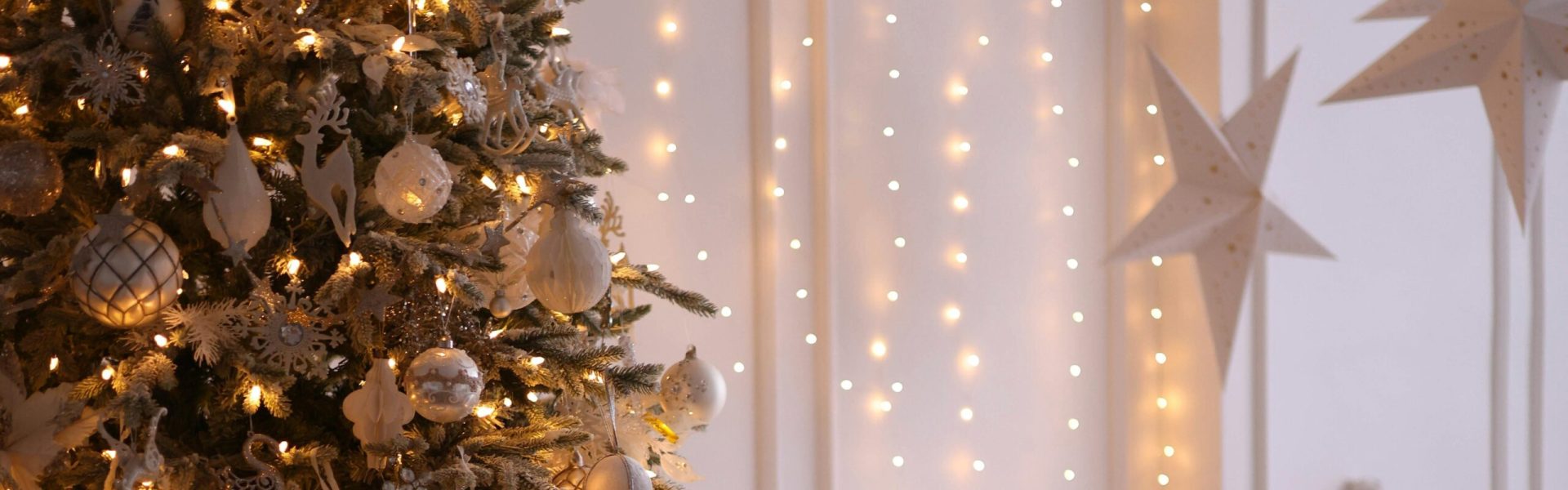 pexels-valeriya-19465362 - Kopie